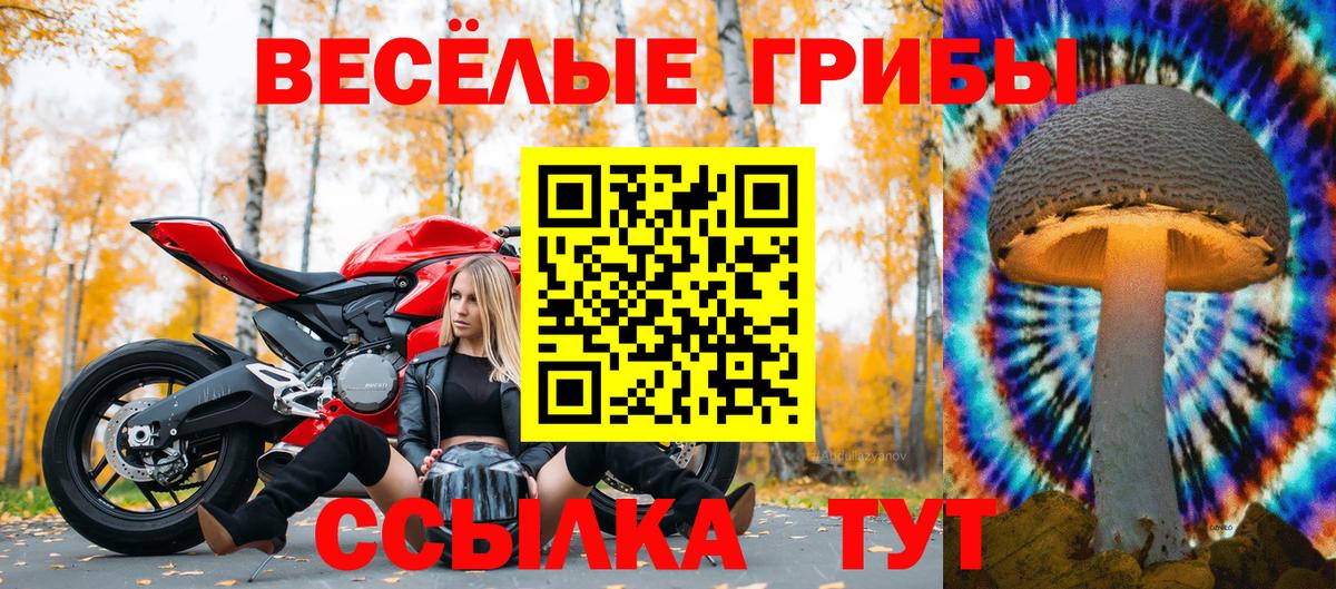 Галлюциногенные грибы Magic Shrooms Долгопрудный