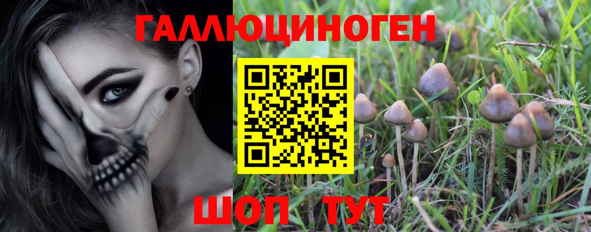 Долгопрудный  Галлюциногенные грибы мицелий  Псилоцибиновые грибы мицелий  Вход с VPN 
